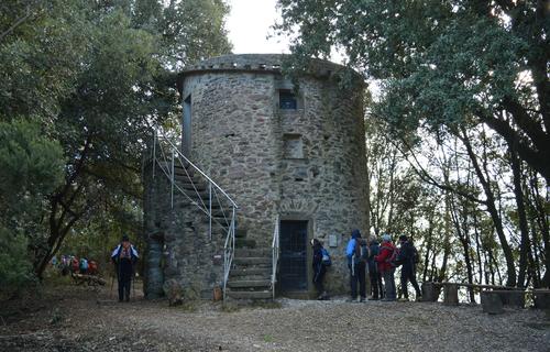     Mulino a vento
